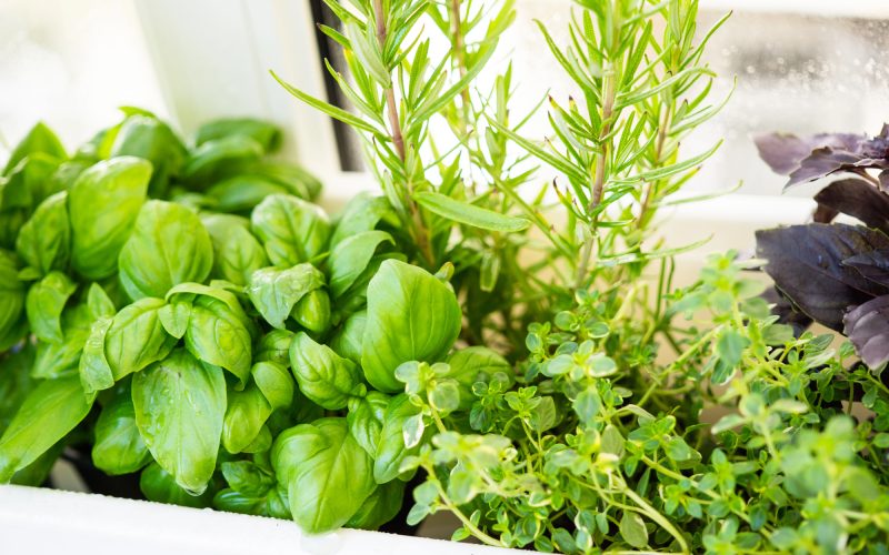 Depositphotos_271606956_L