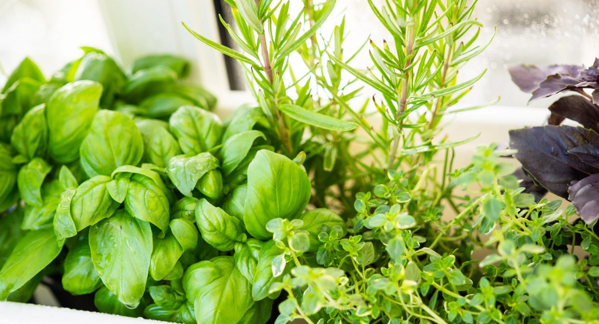 Depositphotos_271606956_L