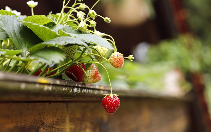 Depositphotos_762952306_L