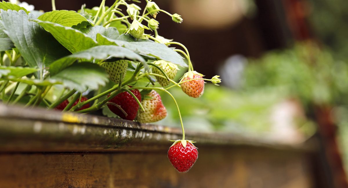 Depositphotos_762952306_L