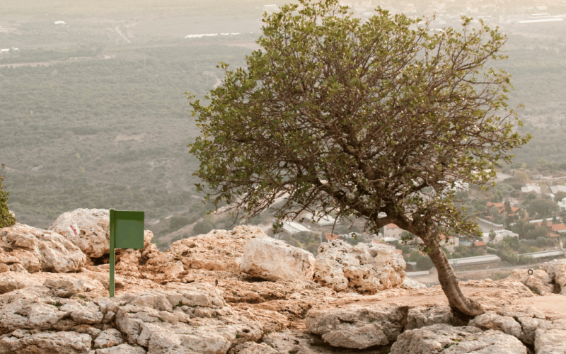 טיולי טבע עוצרי נשימה בישראל – המלצות מעודכנות