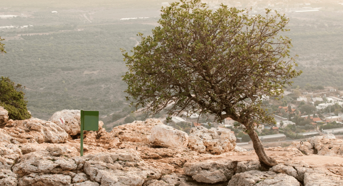 טיולי טבע עוצרי נשימה בישראל – המלצות מעודכנות
