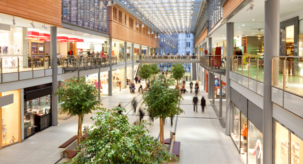 למה אנחנו קונים מה שאנחנו לא צריכים – ואיך להפסיק עם זה